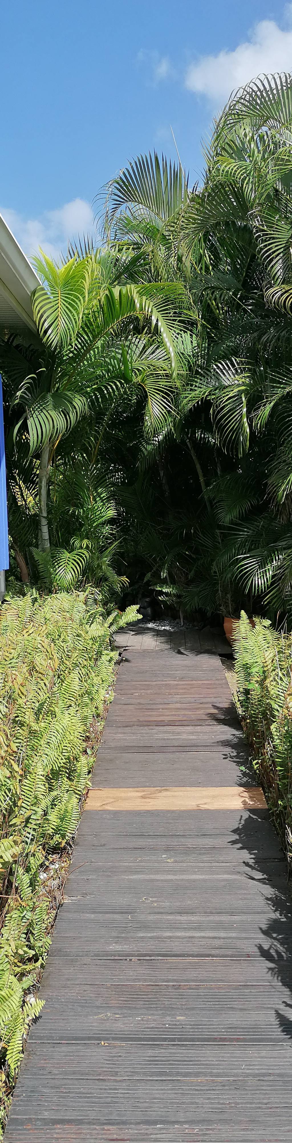 Piscine privée et terrasse de la Villa Pakala au Diamant, Martinique